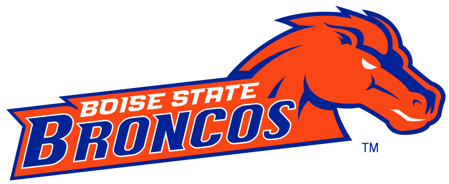 Boise State Broncos 2002-2012 Secondary Logo v12 diy iron on heat transfer